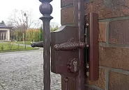 Васильковая_8