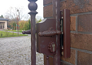 Васильковая_8