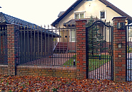 Сосновый бор_7