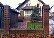 Сосновый бор_8